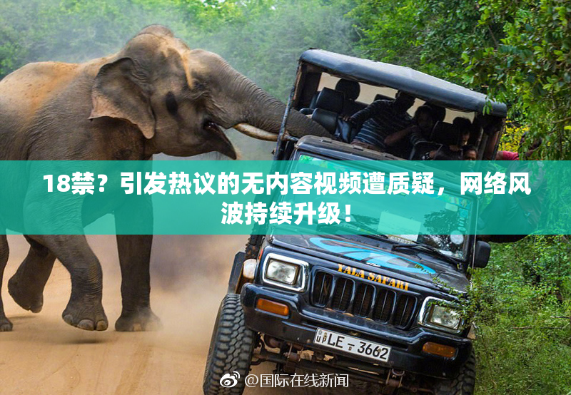 18禁？引发热议的无内容视频遭质疑，网络风波持续升级！