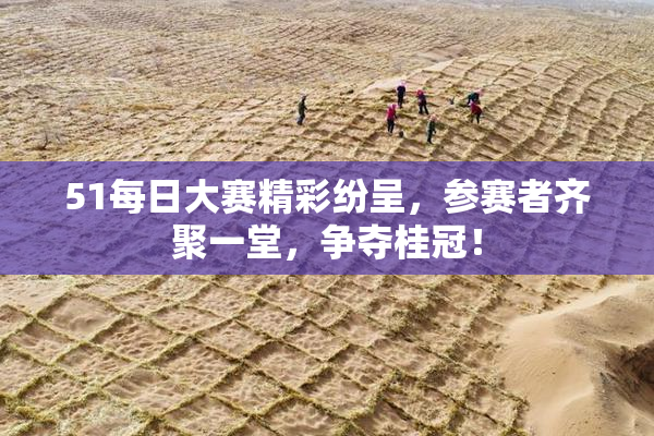 51每日大赛精彩纷呈，参赛者齐聚一堂，争夺桂冠！