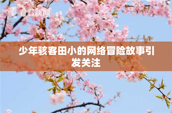 少年骇客田小的网络冒险故事引发关注