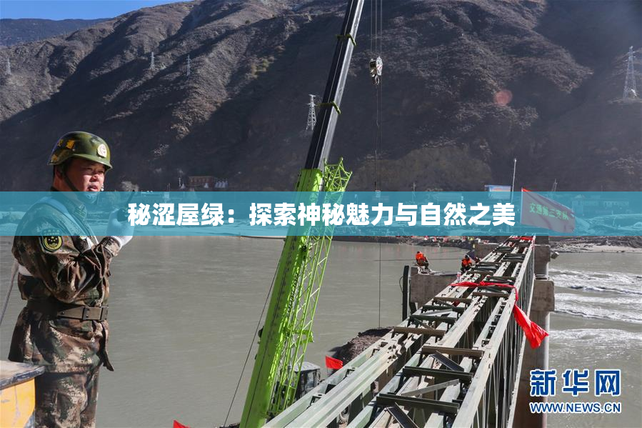 秘涩屋绿：探索神秘魅力与自然之美