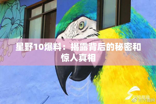 星野10爆料：揭露背后的秘密和惊人真相