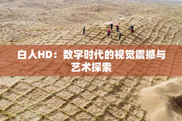 白人HD：数字时代的视觉震撼与艺术探索