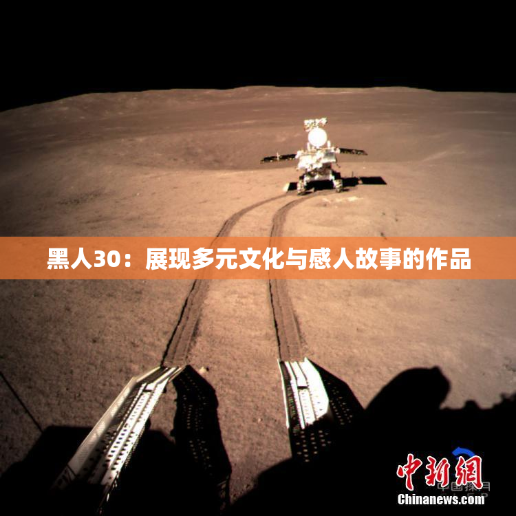 黑人30：展现多元文化与感人故事的作品