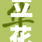 立花瑠莉演绎牛仔风格，时尚秀尽显魅力