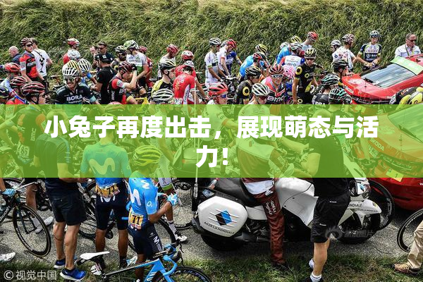 小兔子再度出击，展现萌态与活力！
