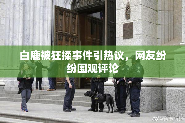 白鹿被狂揉事件引热议，网友纷纷围观评论