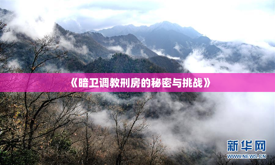 《暗卫调教刑房的秘密与挑战》