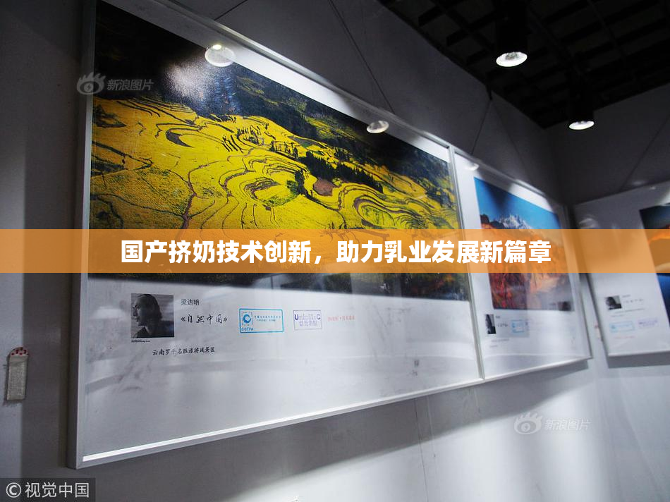 国产挤奶技术创新，助力乳业发展新篇章