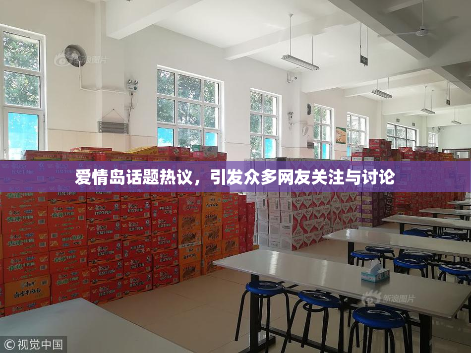 爱情岛话题热议，引发众多网友关注与讨论