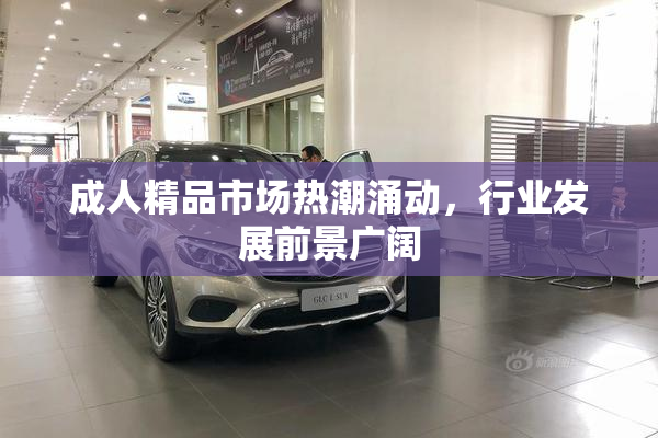 成人精品市场热潮涌动，行业发展前景广阔
