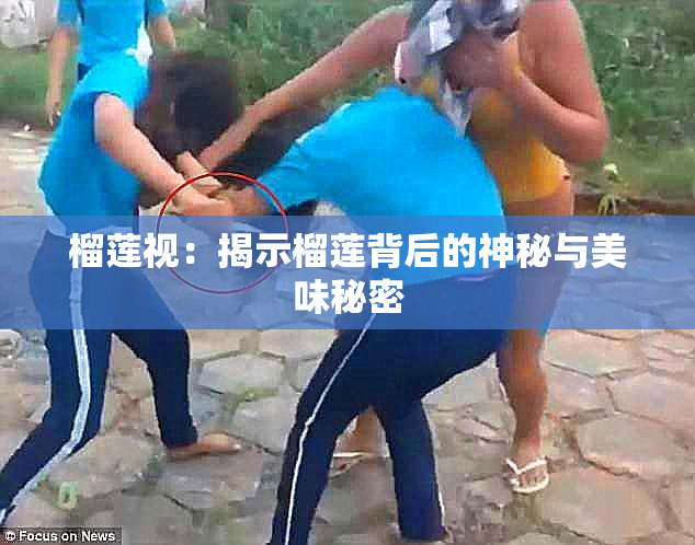 榴莲视：揭示榴莲背后的神秘与美味秘密