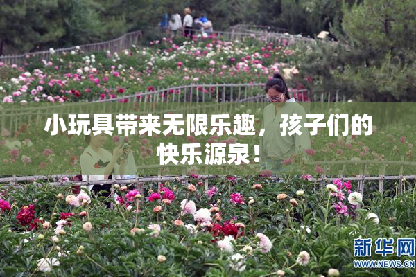 小玩具带来无限乐趣，孩子们的快乐源泉！