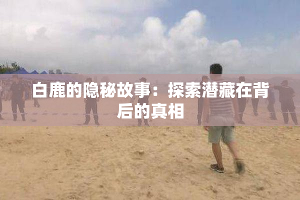 白鹿的隐秘故事：探索潜藏在背后的真相