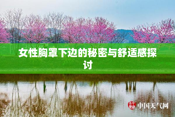 女性胸罩下边的秘密与舒适感探讨