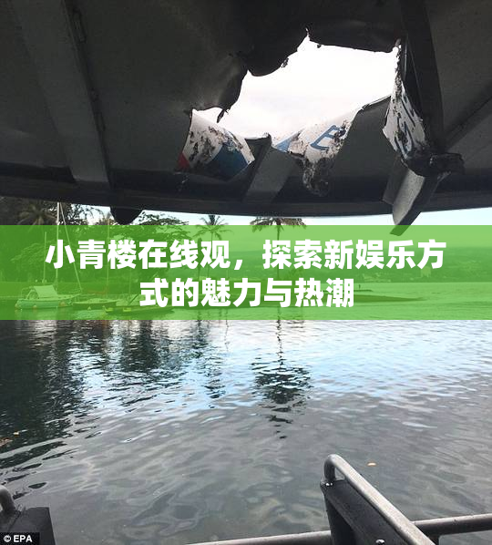 小青楼在线观，探索新娱乐方式的魅力与热潮