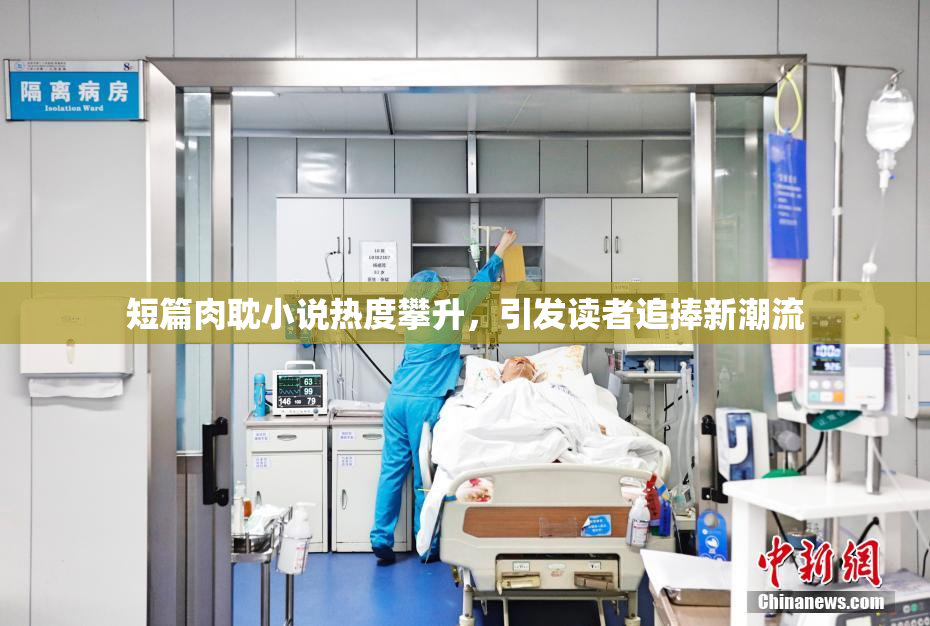 短篇肉耽小说热度攀升，引发读者追捧新潮流