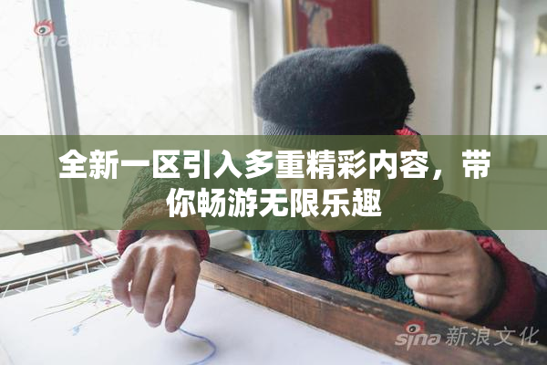 全新一区引入多重精彩内容，带你畅游无限乐趣