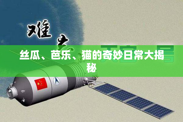 丝瓜、芭乐、猫的奇妙日常大揭秘