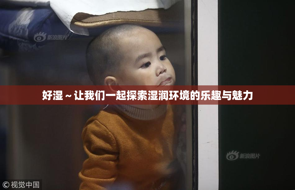 好湿～让我们一起探索湿润环境的乐趣与魅力