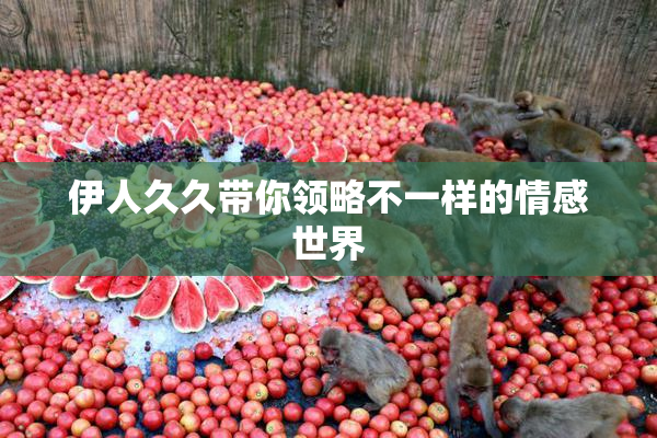 伊人久久带你领略不一样的情感世界