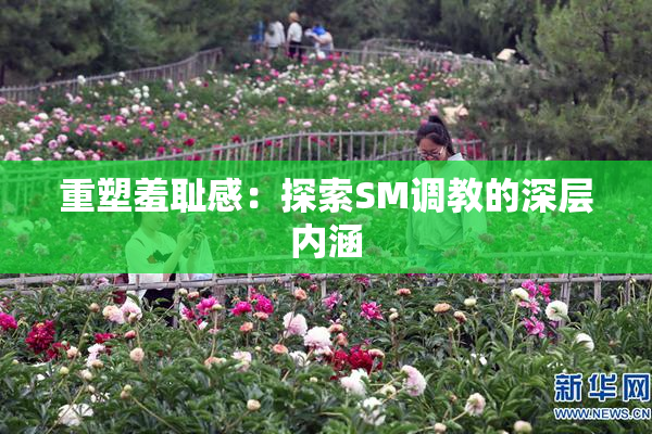 重塑羞耻感：探索SM调教的深层内涵