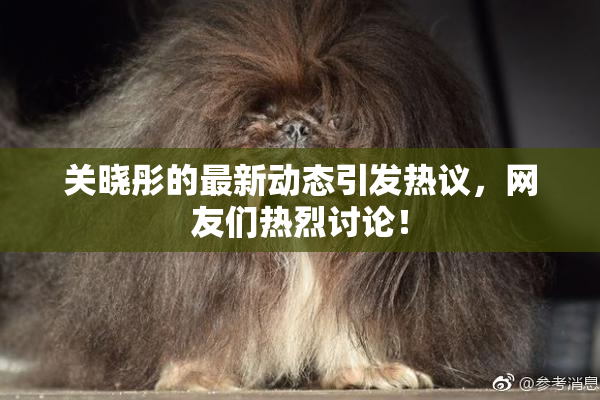 关晓彤的最新动态引发热议，网友们热烈讨论！