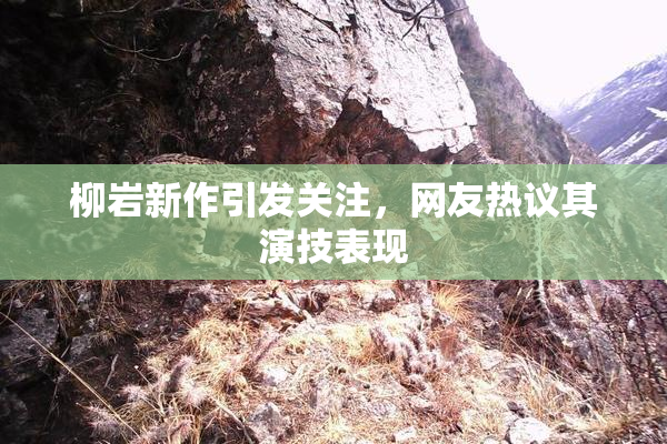 柳岩新作引发关注，网友热议其演技表现