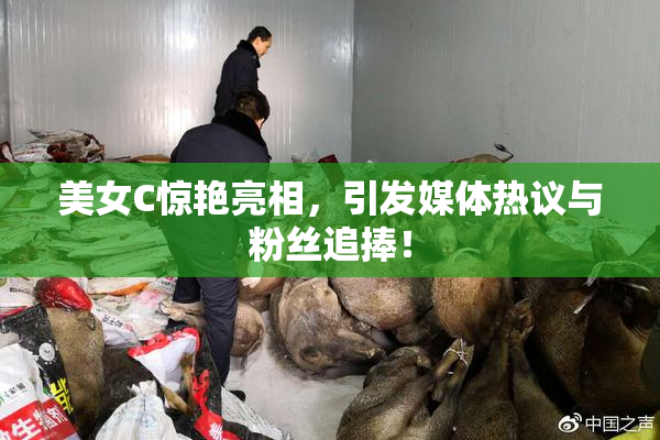 美女C惊艳亮相，引发媒体热议与粉丝追捧！