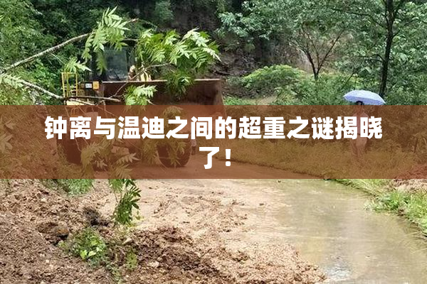 钟离与温迪之间的超重之谜揭晓了！