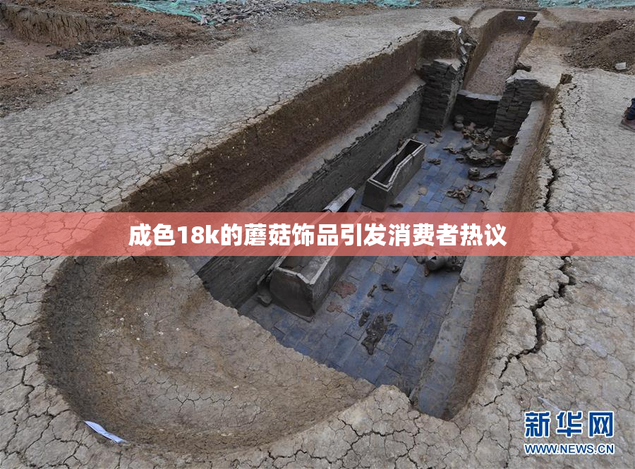 成色18k的蘑菇饰品引发消费者热议