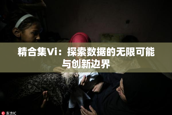 精合集Vi：探索数据的无限可能与创新边界