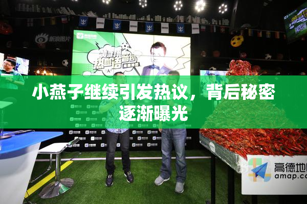 小燕子继续引发热议，背后秘密逐渐曝光