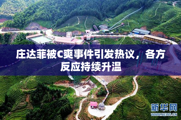 庄达菲被C爽事件引发热议，各方反应持续升温