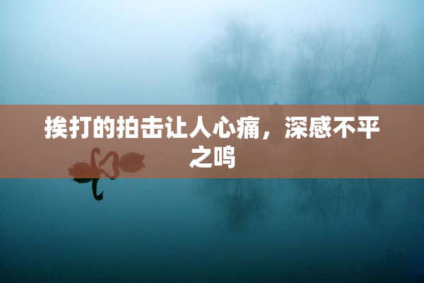 挨打的拍击让人心痛，深感不平之鸣