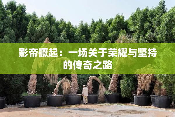 影帝撅起：一场关于荣耀与坚持的传奇之路