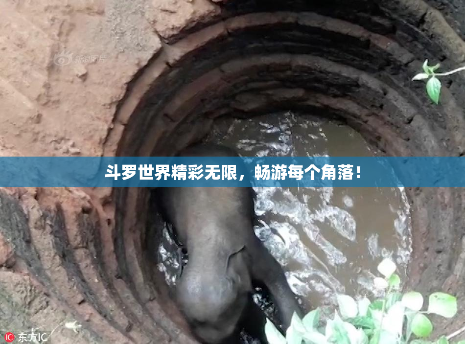 斗罗世界精彩无限，畅游每个角落！