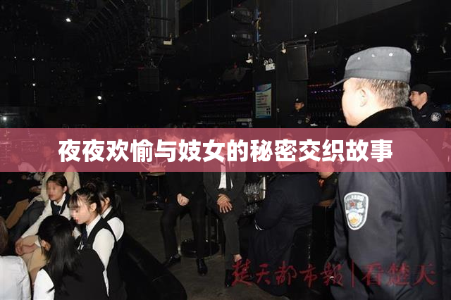 夜夜欢愉与妓女的秘密交织故事