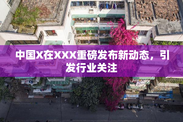 中国X在XXX重磅发布新动态，引发行业关注