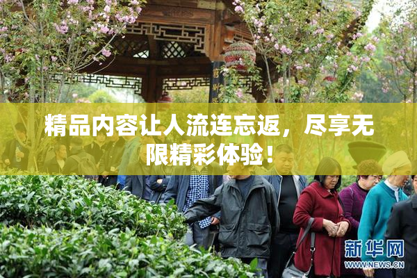 精品内容让人流连忘返，尽享无限精彩体验！
