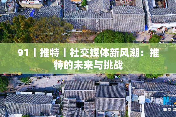 91丨推特丨社交媒体新风潮：推特的未来与挑战