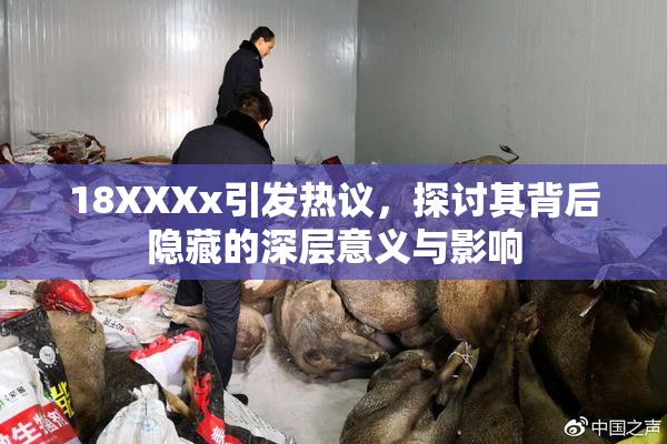 18XXXx引发热议，探讨其背后隐藏的深层意义与影响