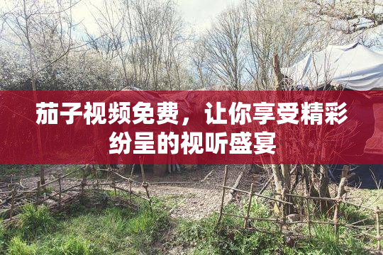 茄子视频免费，让你享受精彩纷呈的视听盛宴