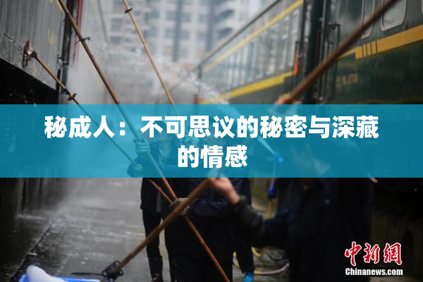 秘成人：不可思议的秘密与深藏的情感