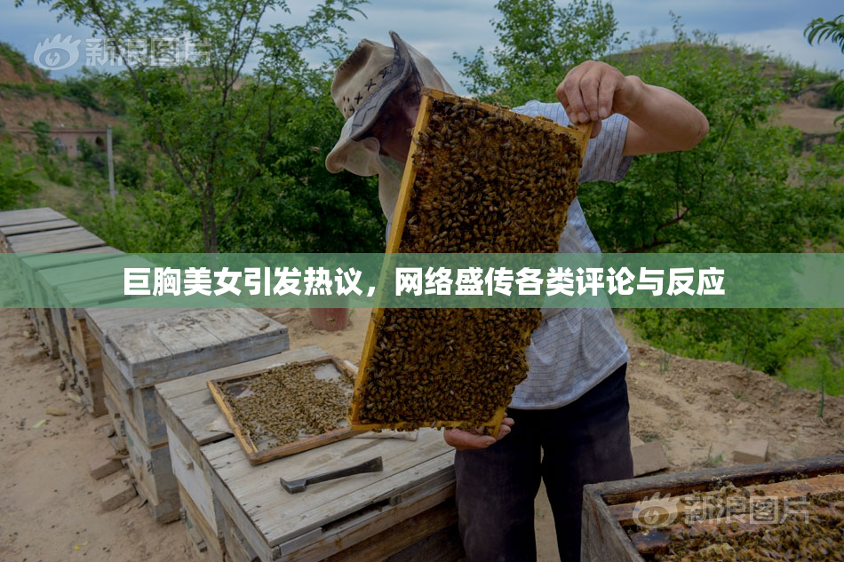 巨胸美女引发热议，网络盛传各类评论与反应