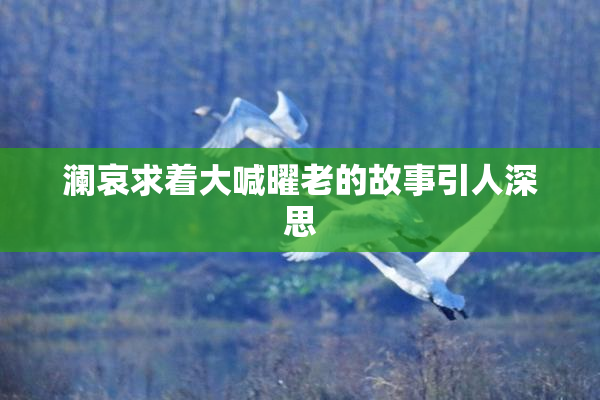 澜哀求着大喊曜老的故事引人深思