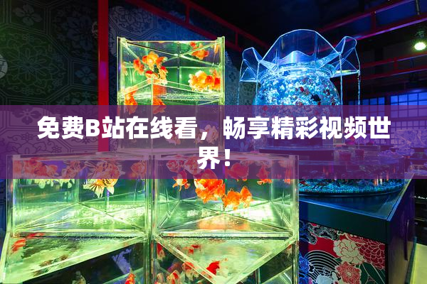 免费B站在线看，畅享精彩视频世界！