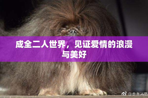 成全二人世界，见证爱情的浪漫与美好