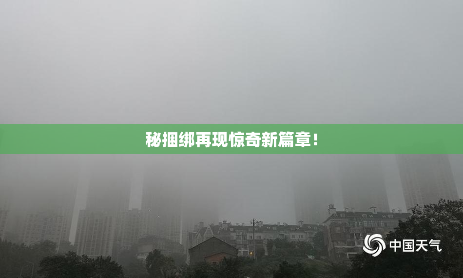 秘捆绑再现惊奇新篇章！