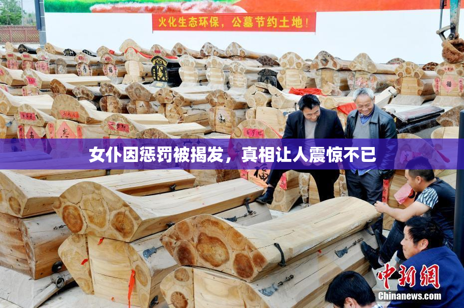 女仆因惩罚被揭发，真相让人震惊不已