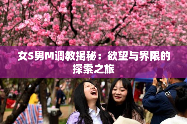 女S男M调教揭秘：欲望与界限的探索之旅